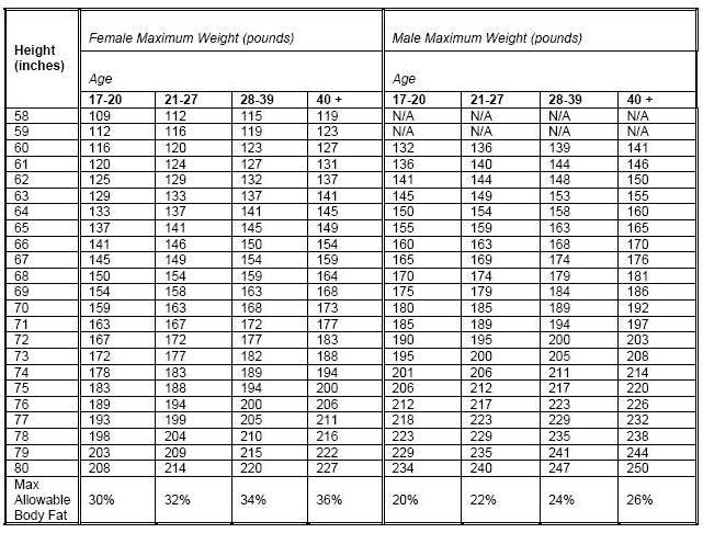 army body fat percentage sheet