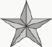 Silver Service Star
