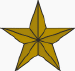 Bronze Service Star